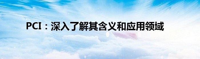 PCI：深入了解其含义和应用领域