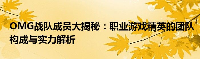 OMG战队成员大揭秘：职业游戏精英的团队构成与实力解析