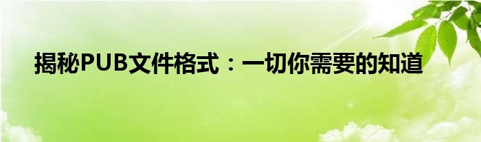 揭秘PUB文件格式：一切你需要的知道
