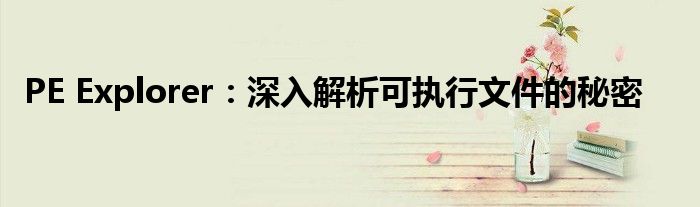 PE Explorer：深入解析可执行文件的秘密