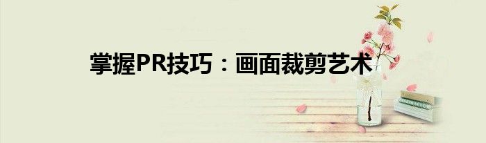 掌握PR技巧：画面裁剪艺术
