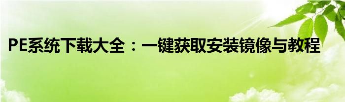 PE系统下载大全：一键获取安装镜像与教程