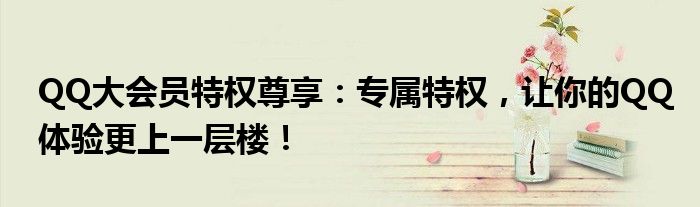 QQ大会员特权尊享：专属特权，让你的QQ体验更上一层楼！