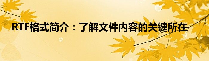 RTF格式简介：了解文件内容的关键所在