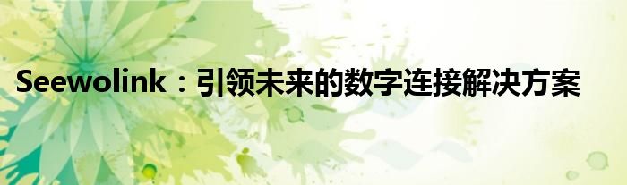 Seewolink：引领未来的数字连接解决方案