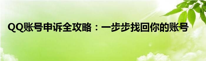 QQ账号申诉全攻略：一步步找回你的账号