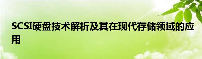 SCSI硬盘技术解析及其在现代存储领域的应用