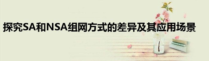 探究SA和NSA组网方式的差异及其应用场景