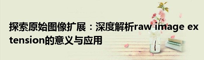 探索原始图像扩展：深度解析raw image extension的意义与应用