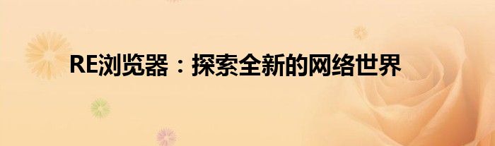 RE浏览器：探索全新的网络世界