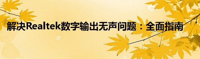 解决Realtek数字输出无声问题：全面指南