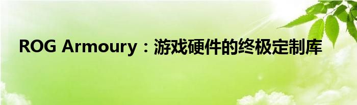 ROG Armoury：游戏硬件的终极定制库