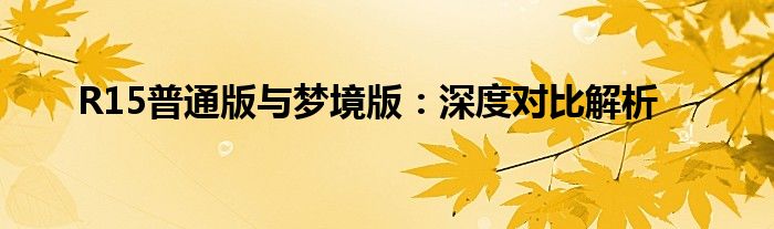 R15普通版与梦境版：深度对比解析
