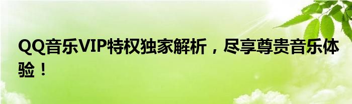 QQ音乐VIP特权独家解析，尽享尊贵音乐体验！