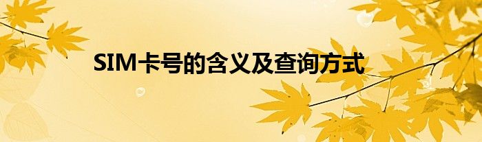 SIM卡号的含义及查询方式