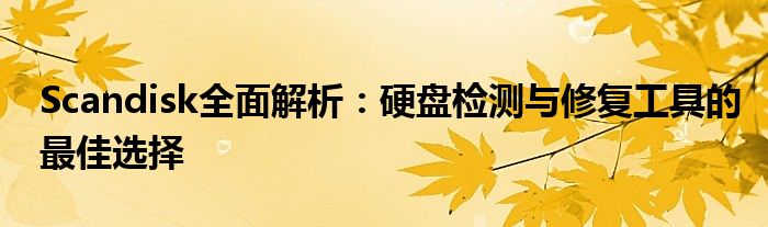 Scandisk全面解析：硬盘检测与修复工具的最佳选择