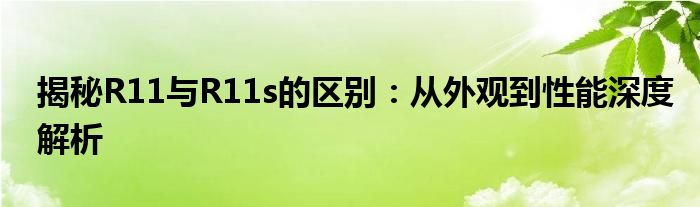 揭秘R11与R11s的区别：从外观到性能深度解析