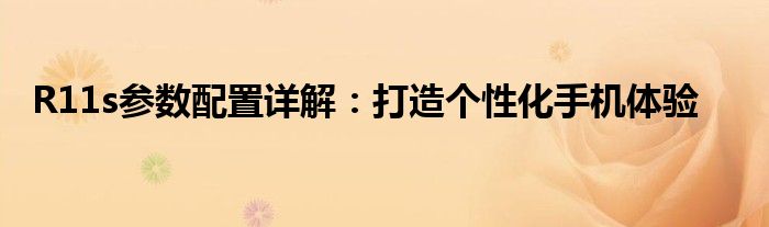 R11s参数配置详解：打造个性化手机体验