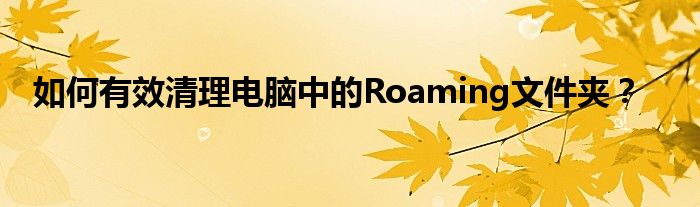 如何有效清理电脑中的Roaming文件夹？