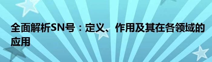 全面解析SN号：定义、作用及其在各领域的应用
