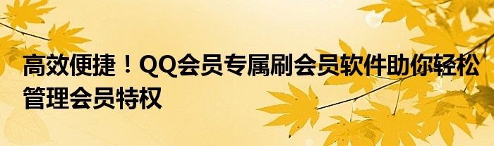 高效便捷！QQ会员专属刷会员软件助你轻松管理会员特权
