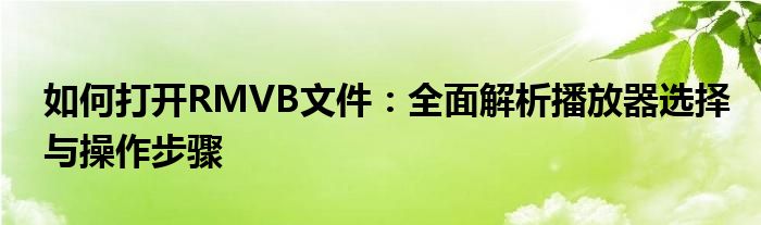 如何打开RMVB文件：全面解析播放器选择与操作步骤