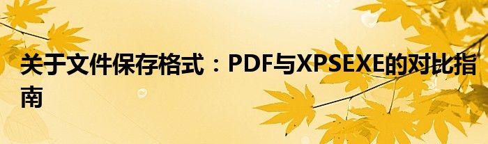 关于文件保存格式：PDF与XPSEXE的对比指南