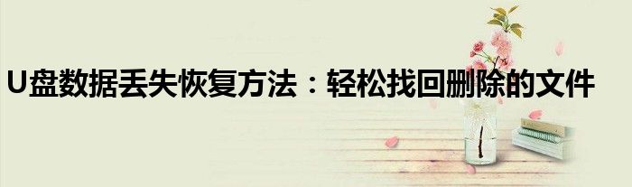 U盘数据丢失恢复方法：轻松找回删除的文件