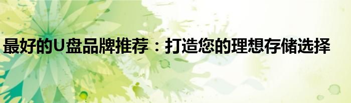 最好的U盘品牌推荐：打造您的理想存储选择
