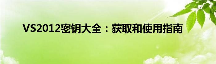 VS2012密钥大全：获取和使用指南