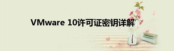 VMware 10许可证密钥详解