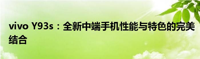 vivo Y93s：全新中端手机性能与特色的完美结合