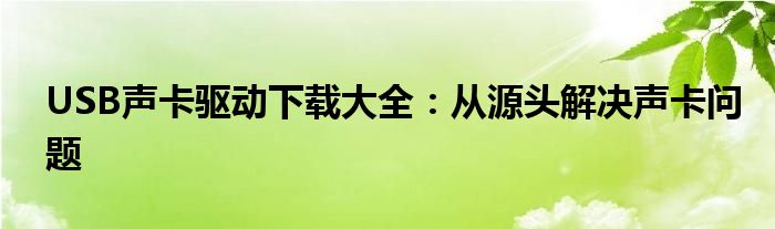 USB声卡驱动下载大全：从源头解决声卡问题