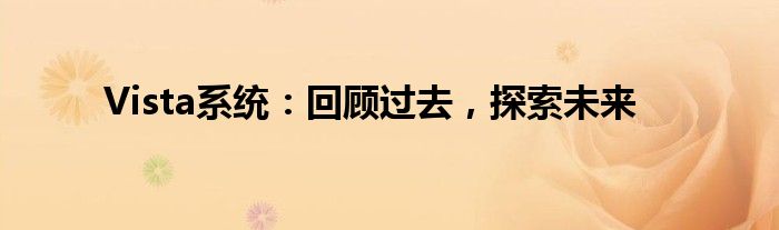 Vista系统：回顾过去，探索未来