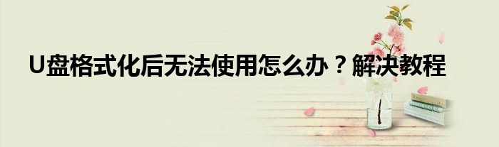U盘格式化后无法使用怎么办？解决教程