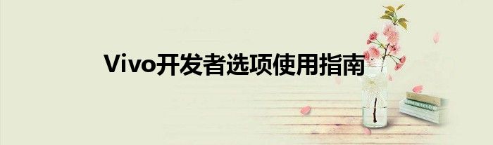 Vivo开发者选项使用指南