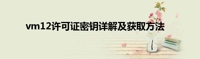 vm12许可证密钥详解及获取方法