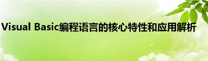 Visual Basic编程语言的核心特性和应用解析