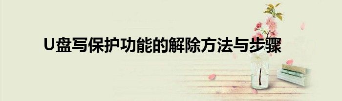U盘写保护功能的解除方法与步骤