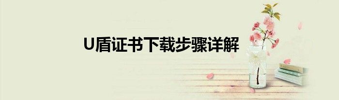 U盾证书下载步骤详解