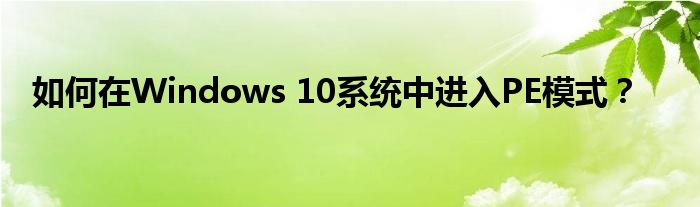 如何在Windows 10系统中进入PE模式？