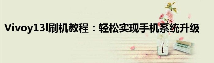 Vivoy13l刷机教程：轻松实现手机系统升级