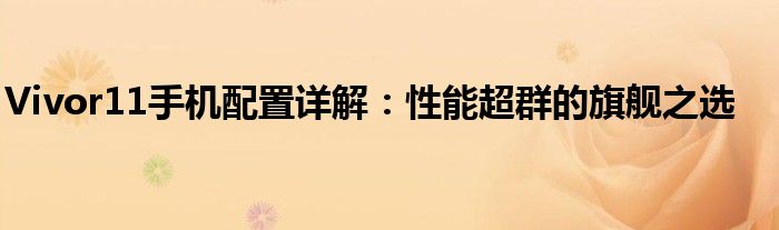 Vivor11手机配置详解：性能超群的旗舰之选