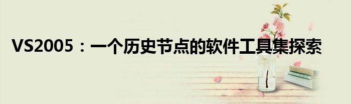 VS2005：一个历史节点的软件工具集探索
