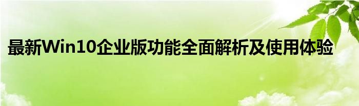 最新Win10企业版功能全面解析及使用体验
