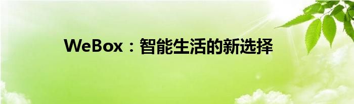 WeBox：智能生活的新选择
