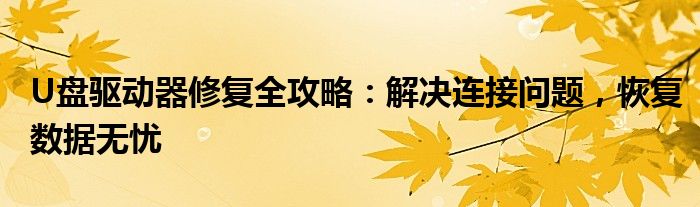 U盘驱动器修复全攻略：解决连接问题，恢复数据无忧