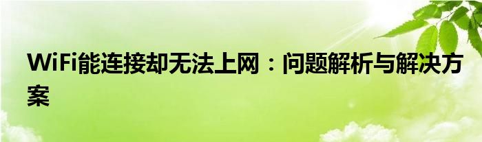 WiFi能连接却无法上网：问题解析与解决方案