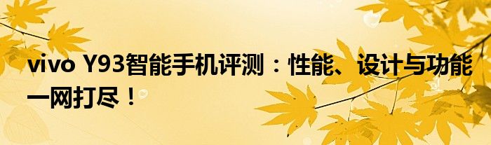 vivo Y93智能手机评测：性能、设计与功能一网打尽！