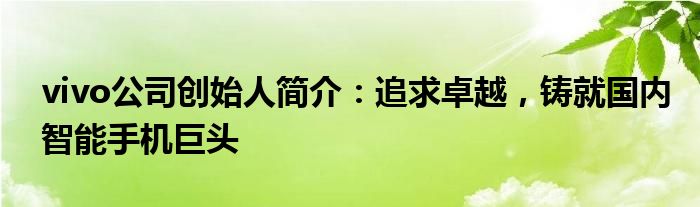 vivo公司创始人简介：追求卓越，铸就国内智能手机巨头